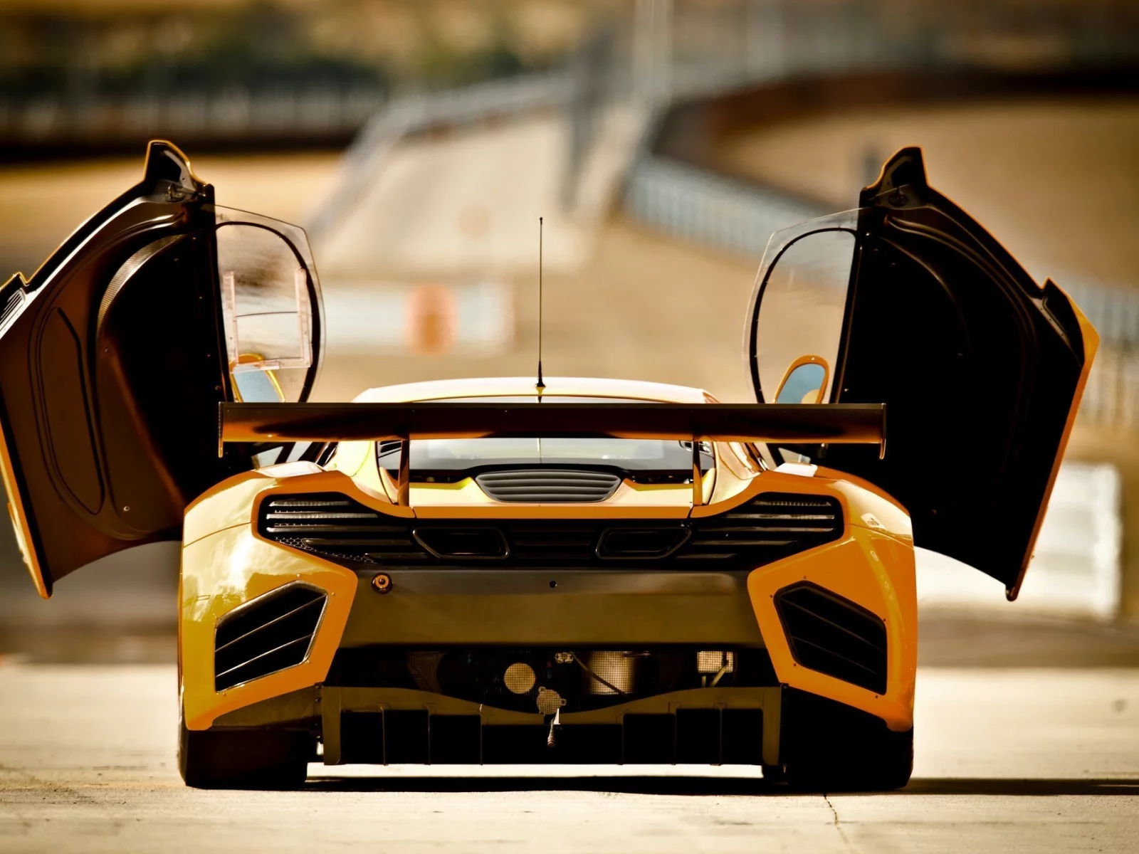 вид сзади, открытые двери, mp4-12c, mclaren