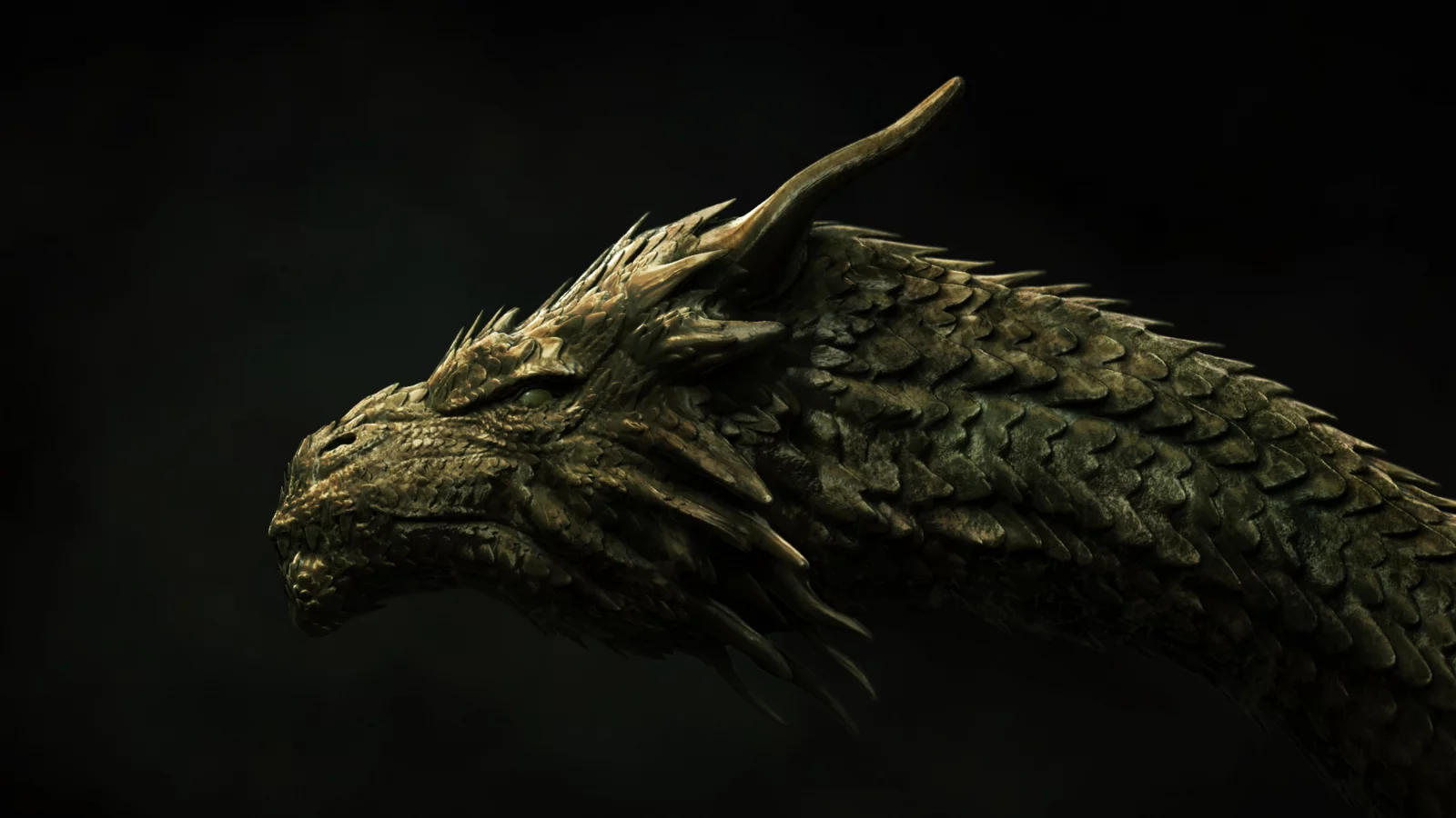 dragon, head, concept