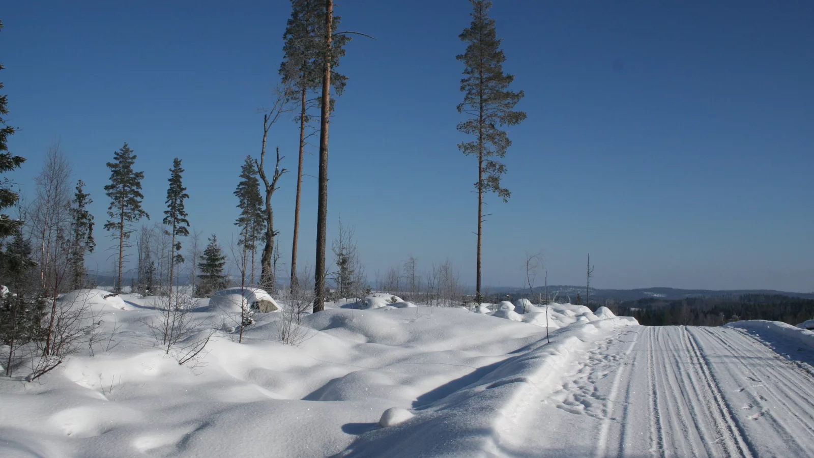 блеск, снег, зима, дорога, мороз