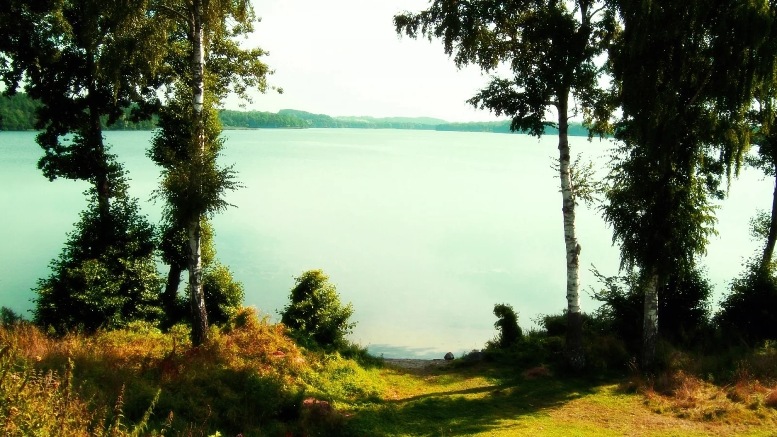 озеро, березы, вода
