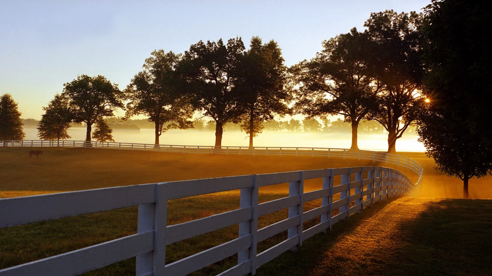 kentucky, туман, парк, забор, утренний, лучи, кентуки, morning mist, lexington, утро, дымка