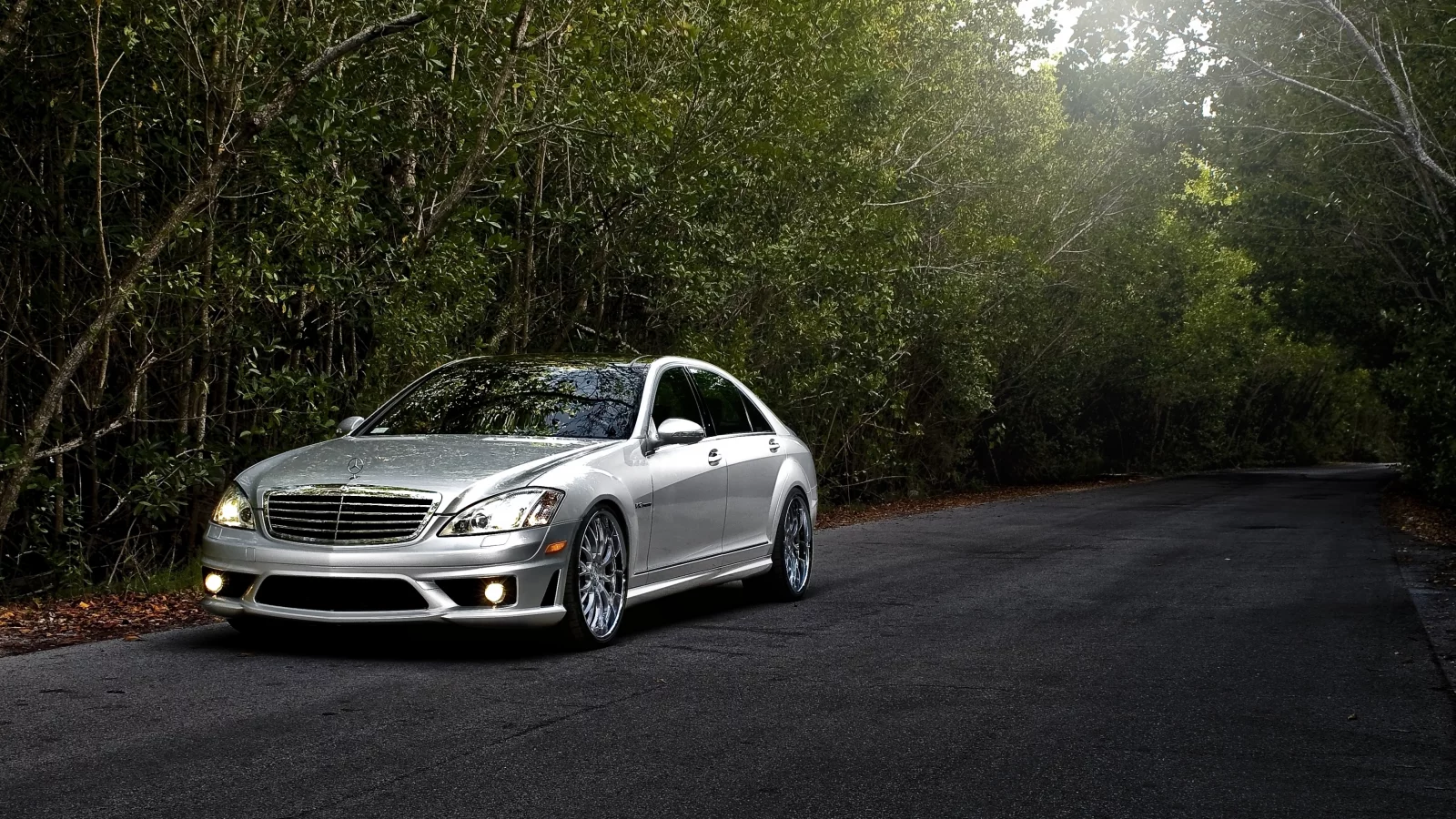лес, amg, серебристый, дорога, s65, mercedes-benz, тюнинг, мерседес, амг, деревья, tuning