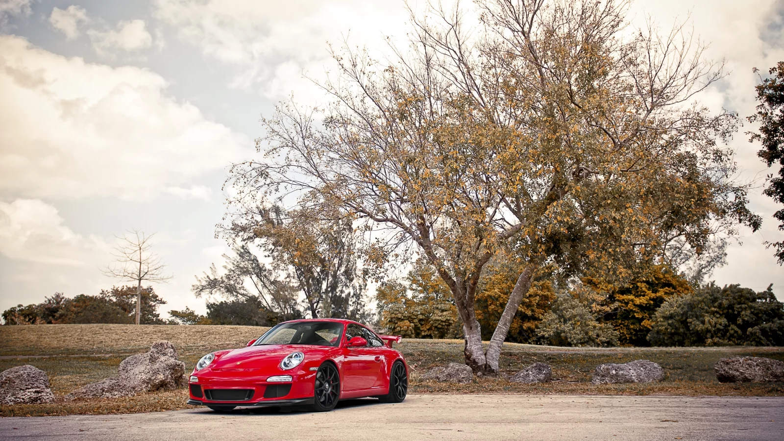 911, дерево, небо, 997, облака, gt3, гт3, красный, валуны, порше, porsche