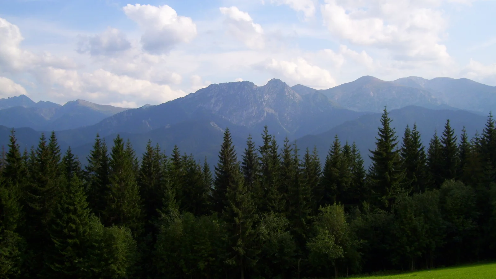 горы, поляна, лес, природа, луг, деревья, трава, облака, небо