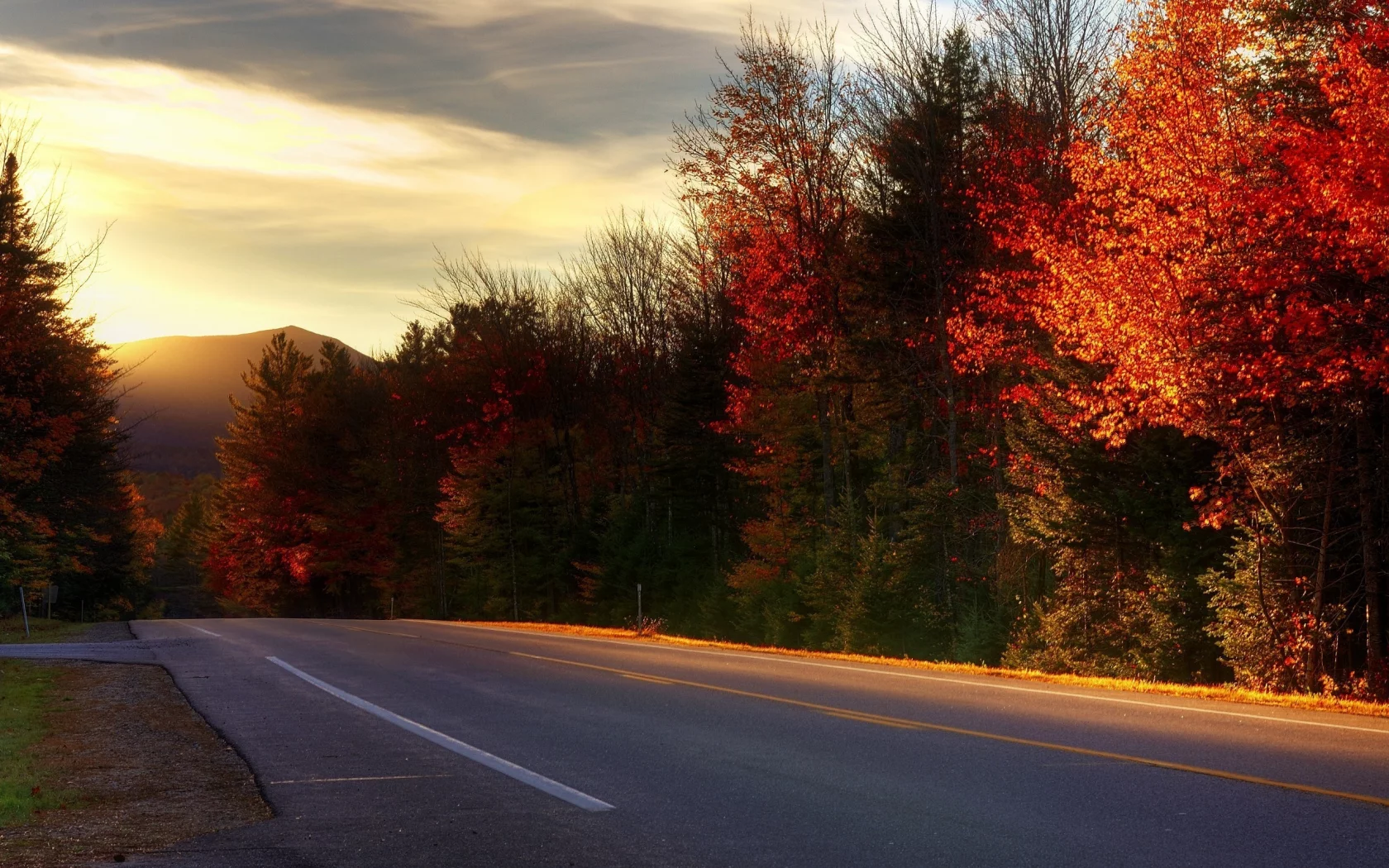 дорога, kancamagus highway, new hampshire, деревья