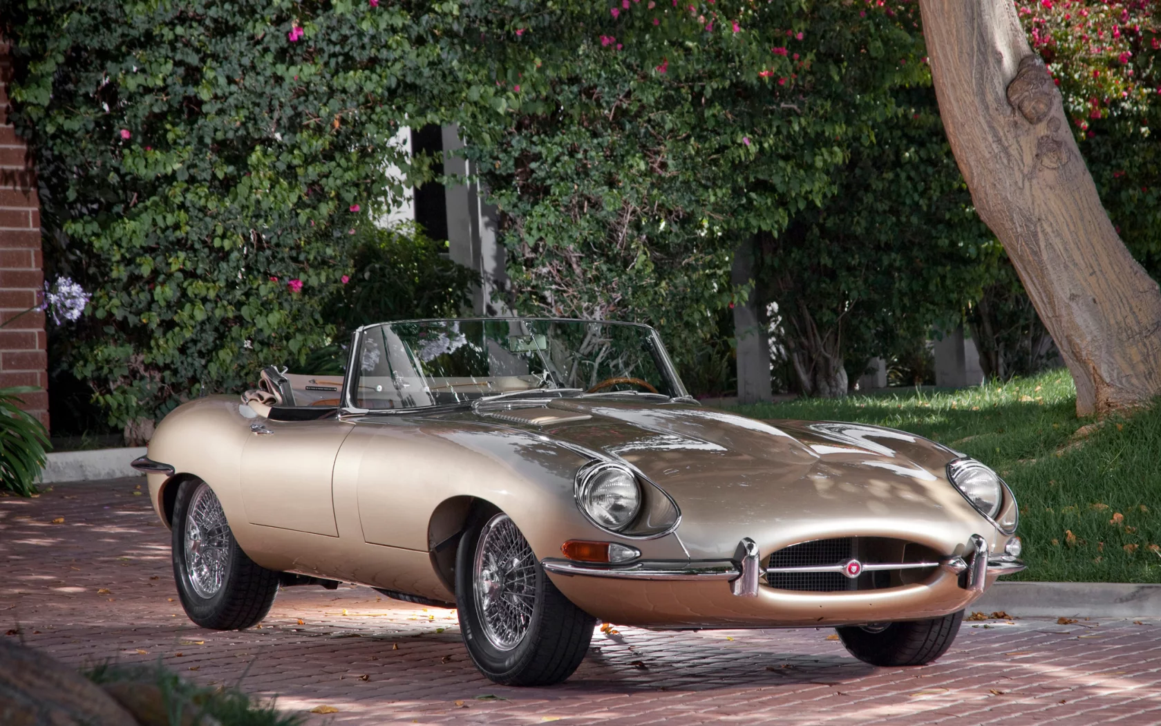 ягуар, jaguar, e-type, классика, красивая машина, кабриолет, тип-е, передок, дерево, е-тайп