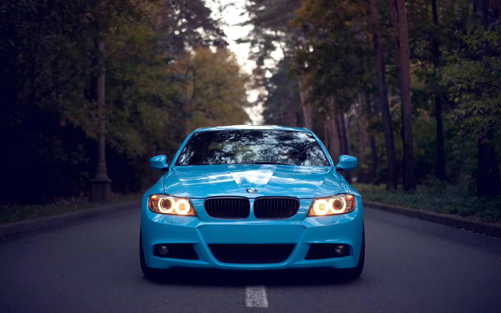 бмв, bmw, 3 series, дорога, front, лес, свет фар, голубая