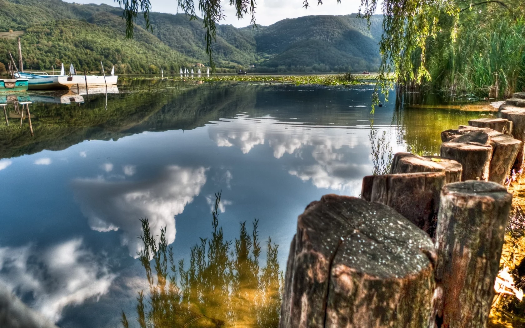 озеро, лодка, пеньки