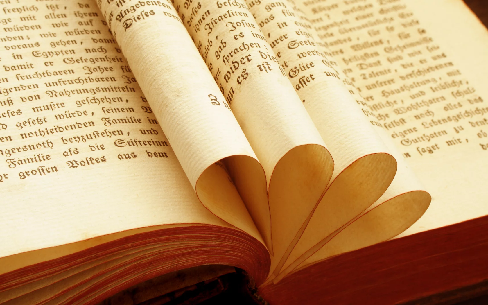 книга, макро, book, macro