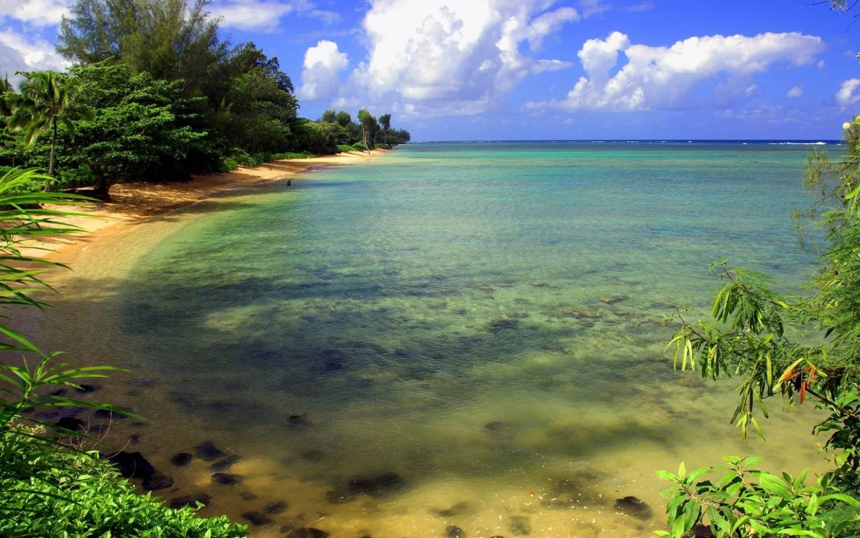 деревья, облака, вода, море