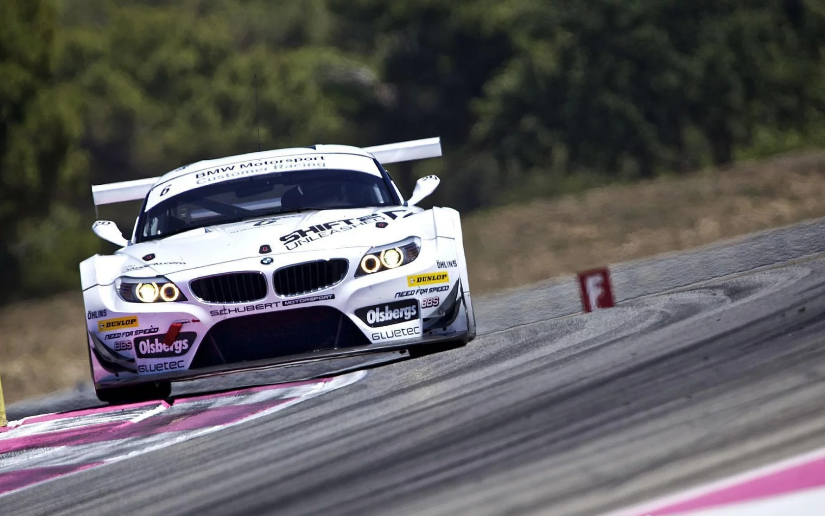 z4, bmw, team need for speed, fia gt3 2011, paul ricard