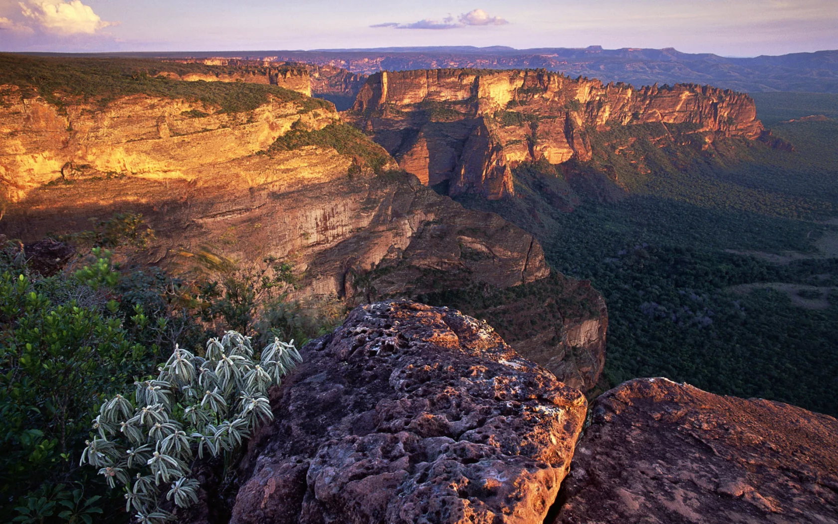 brasil, chapada dos guimar__es at mato grosso, brazil, chapada dos guimar__es no mato grosso