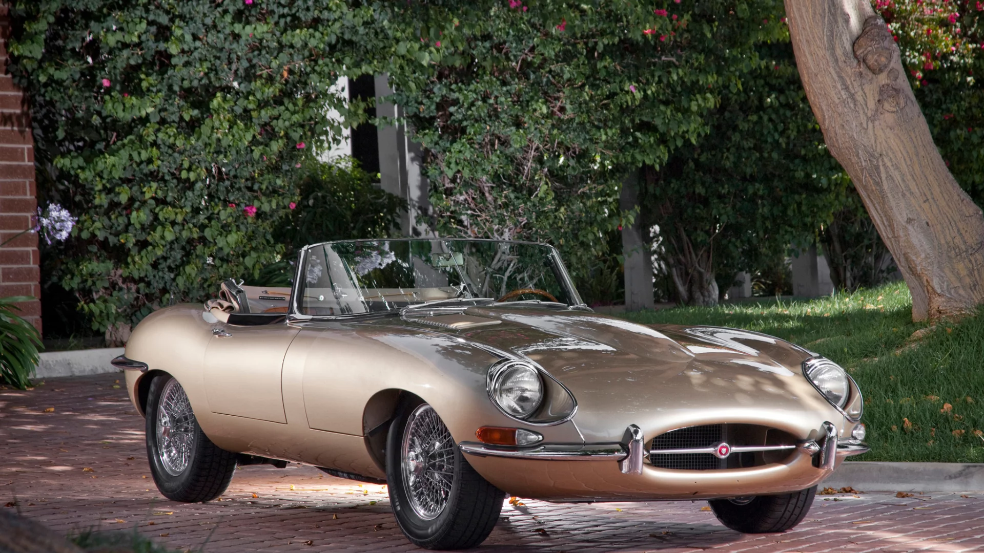 ягуар, jaguar, e-type, классика, красивая машина, кабриолет, тип-е, передок, дерево, е-тайп