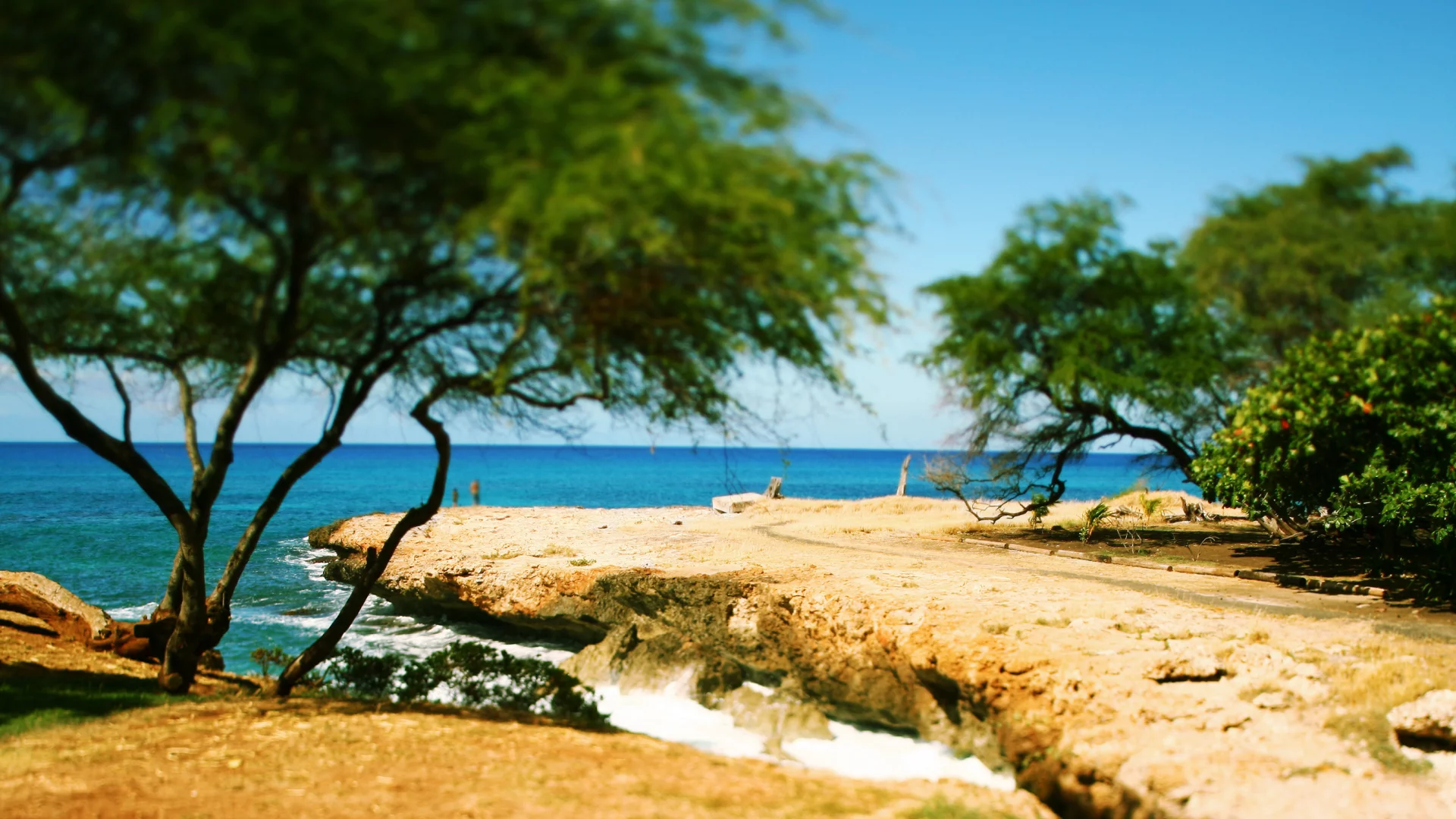 tilt-shift, oahu, кустарники, дорога, волны, hawaii, пляж, камни, море, побережье, деревья