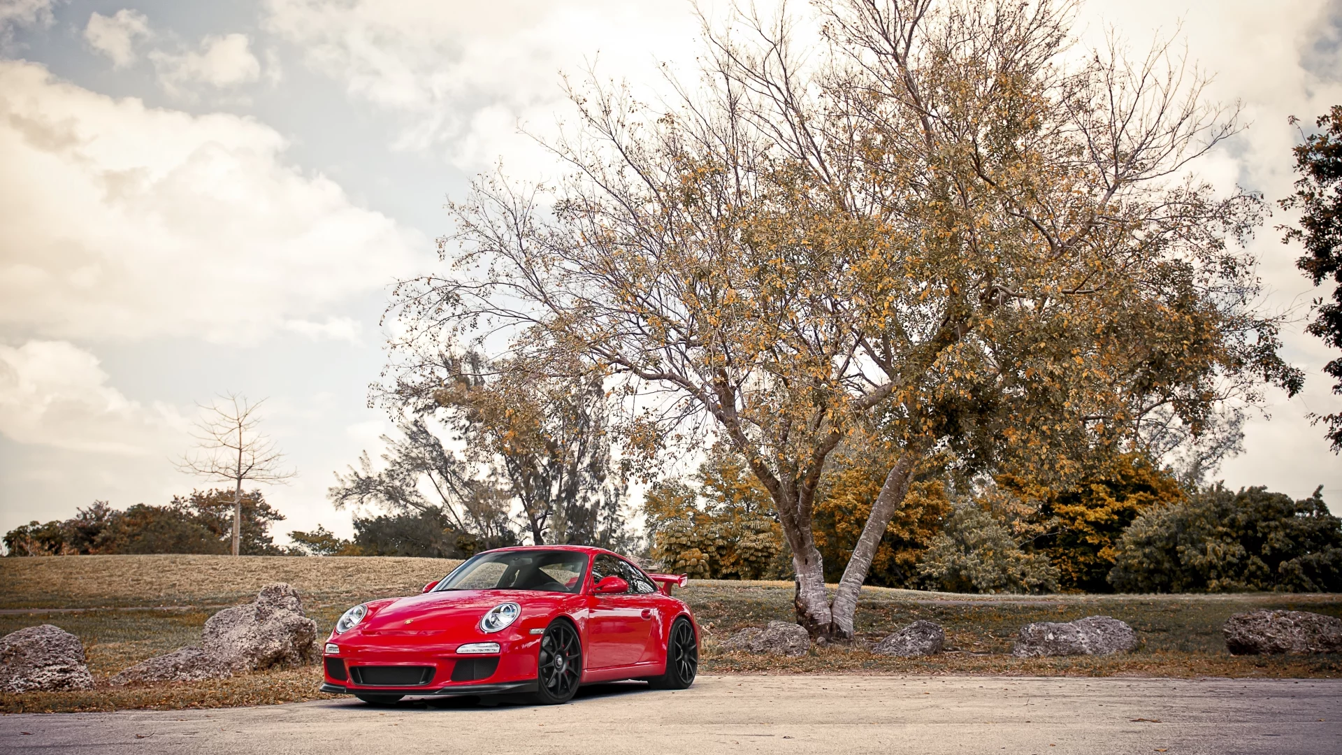 911, дерево, небо, 997, облака, gt3, гт3, красный, валуны, порше, porsche