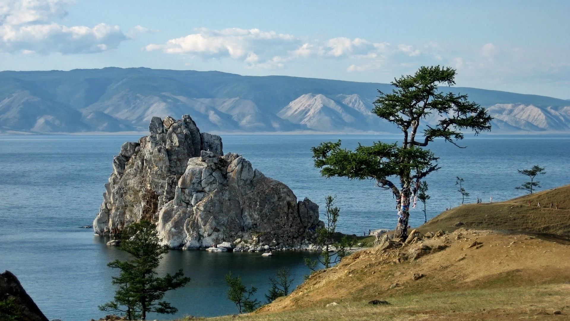 природа, пейзаж, дерево