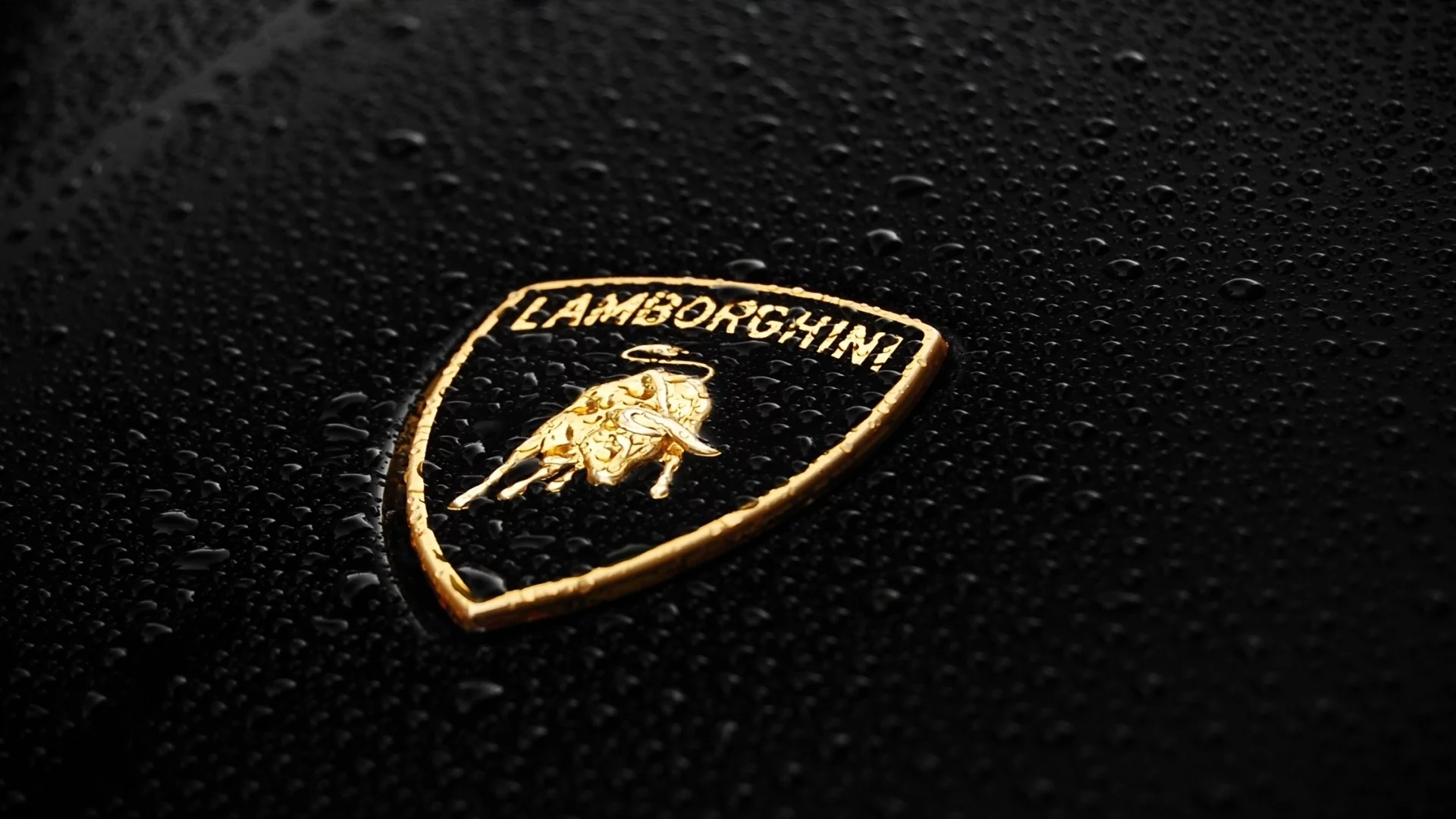 ламборгини, lamborghini, шильдик, бык, ламборджини, капли, ламбо, значок, эмблема, чёрный