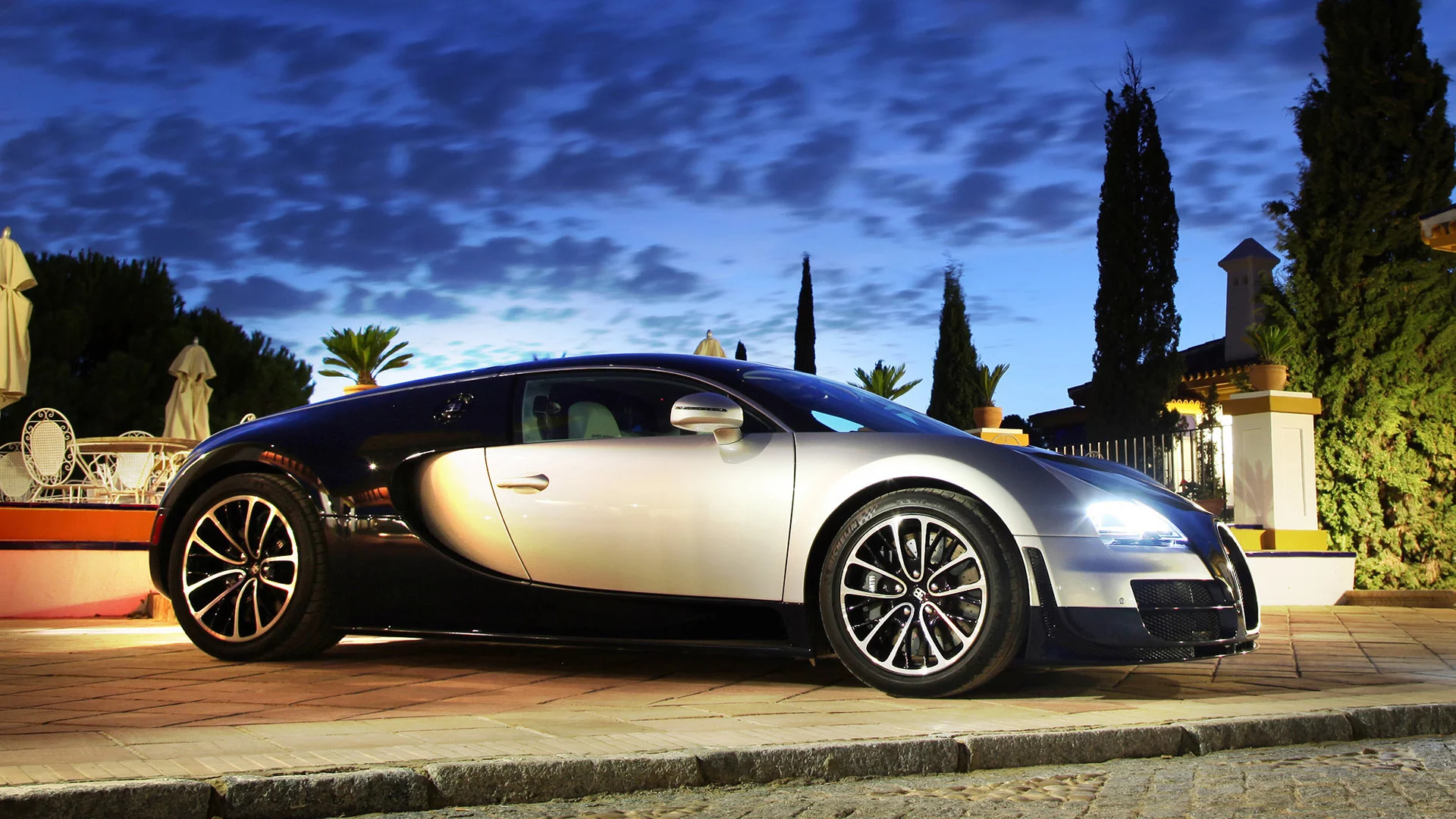 ss, растения, veyron, bugatti, фары, вечер