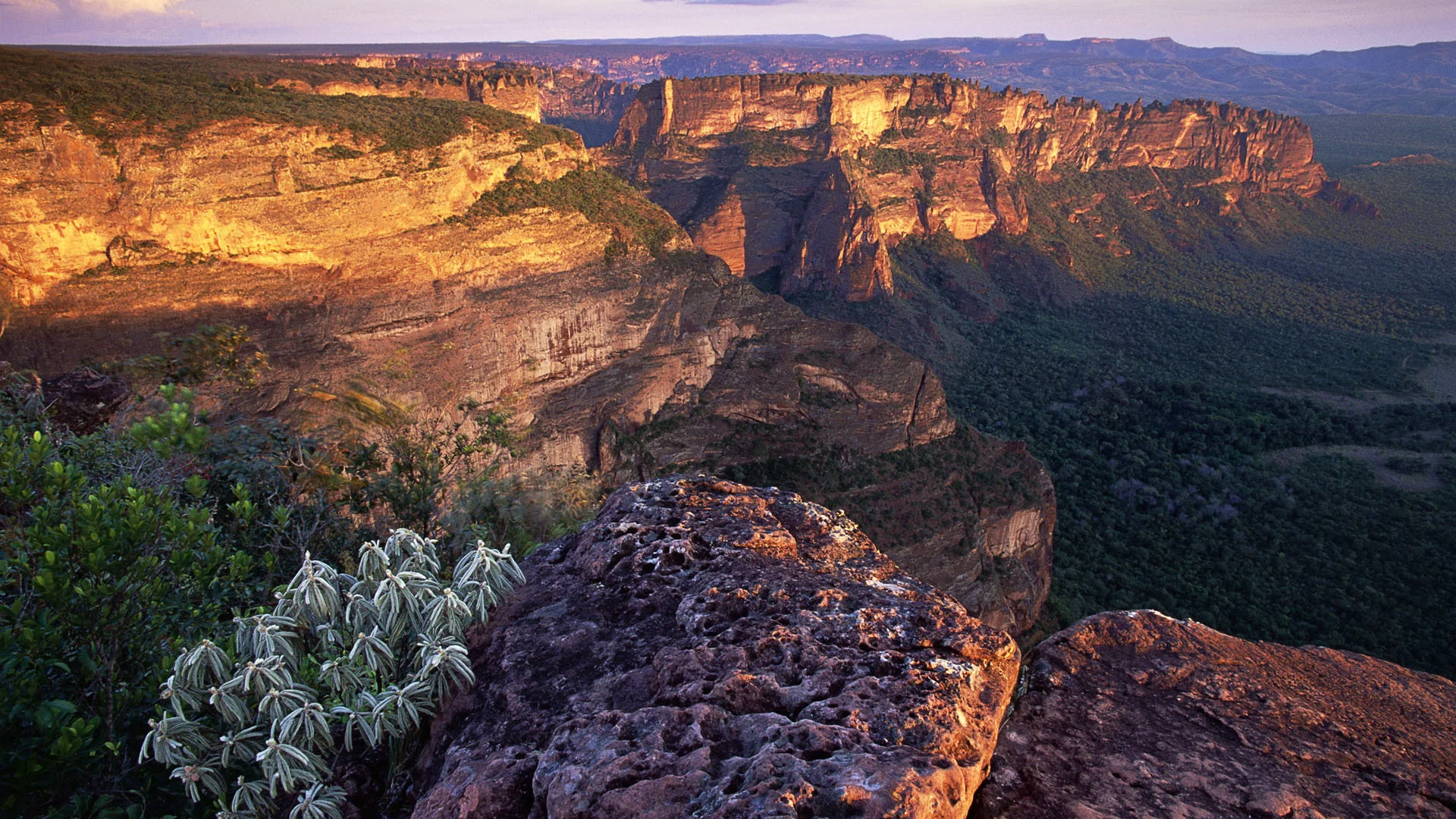 brasil, chapada dos guimar__es at mato grosso, brazil, chapada dos guimar__es no mato grosso