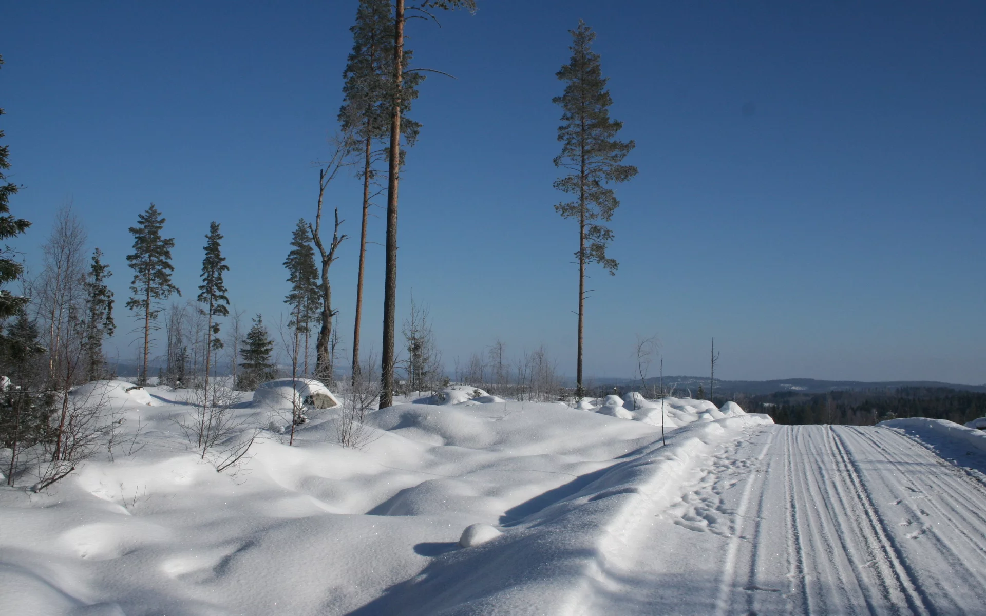 блеск, снег, зима, дорога, мороз