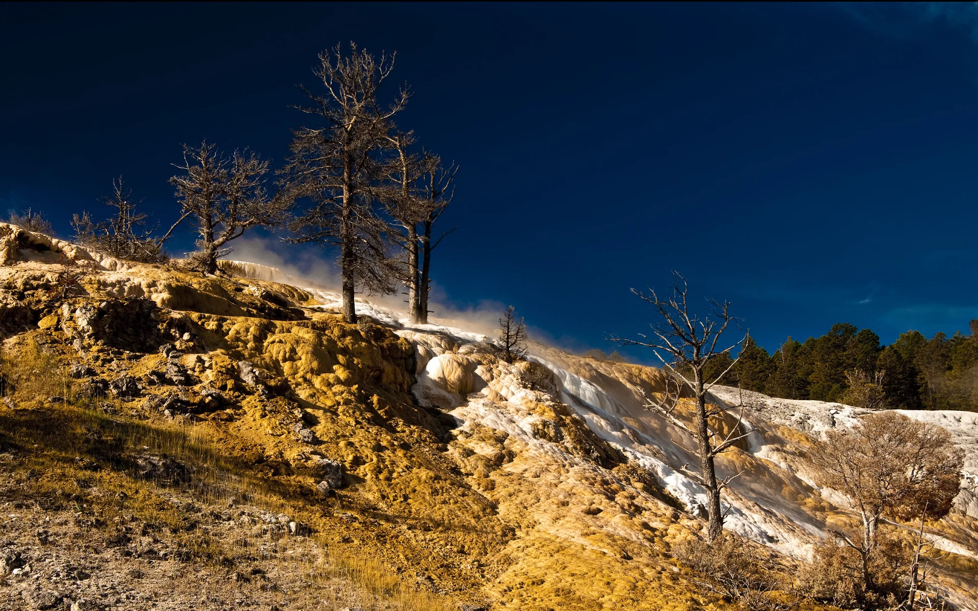 mammoth springs, вайоминг, сша