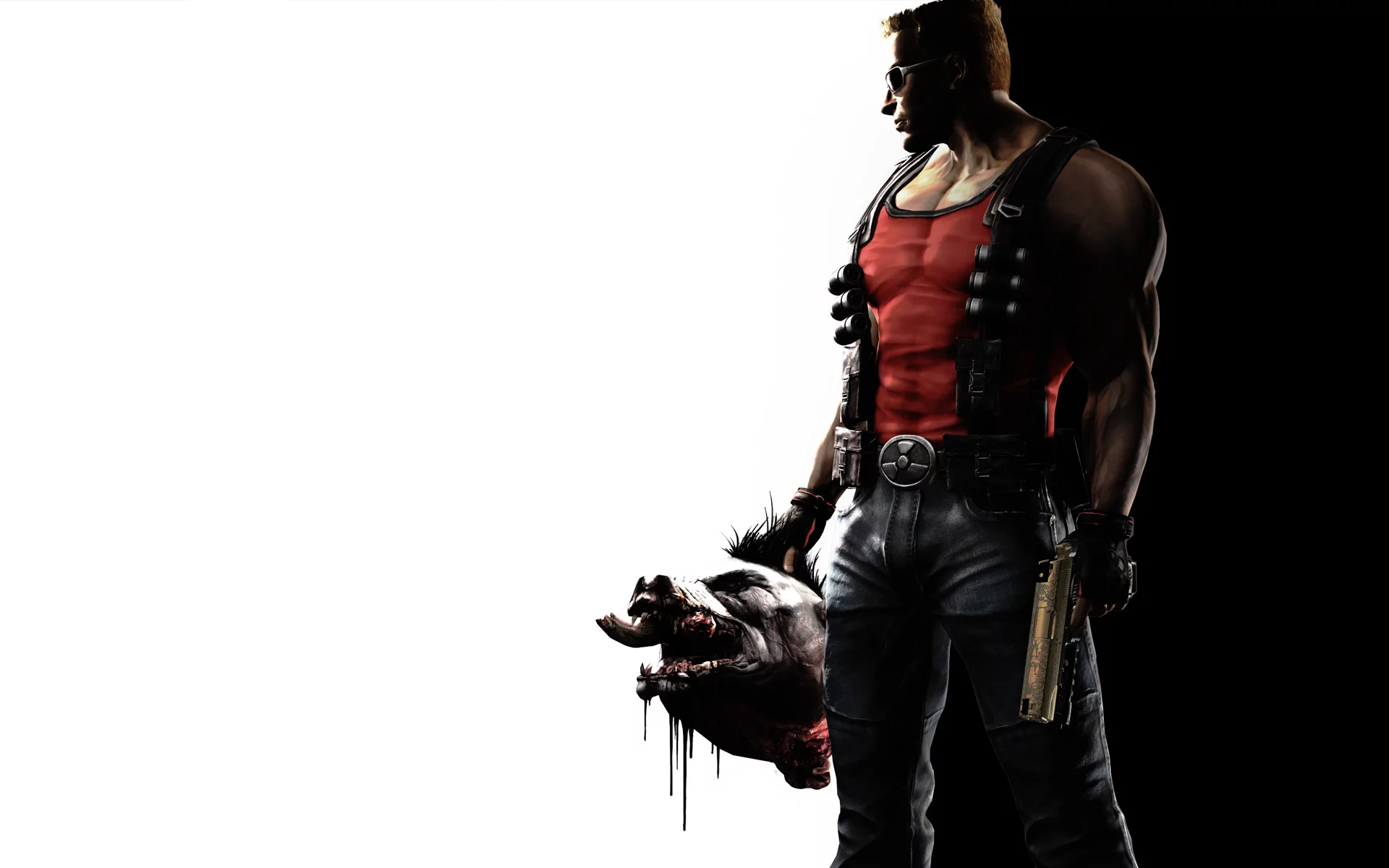 forever, пистолет, свинокоп, голова, duke nukem