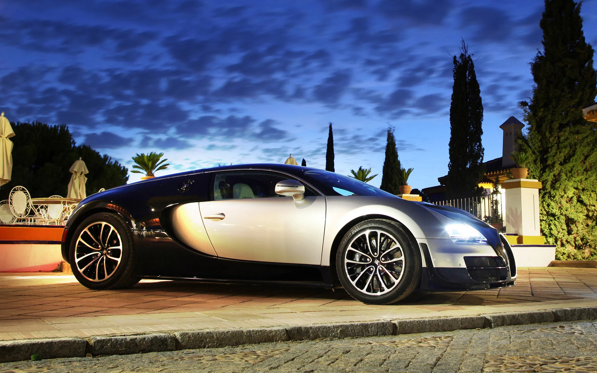 ss, растения, veyron, bugatti, фары, вечер
