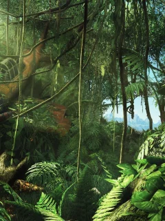 самолет, game, заросли, крушение, игра, джунгли, far cry 3