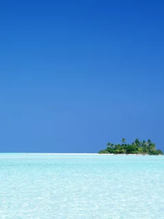 пальмы, океан, остров, море, тропики, горизонт