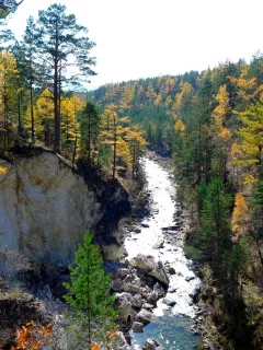 лес, осень, горы, река