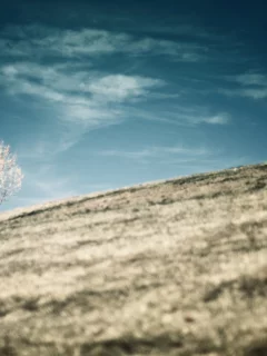 склоны, природа, размытие, горы, пейзаж, спуск, подъёмы, холмы, гора, деревья, дерево