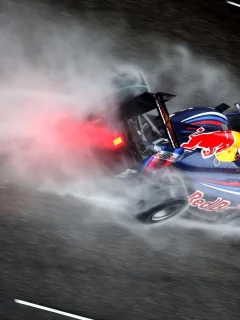 ред булл, формула-1, рб5, formula-1, вид сзади, брызги, гоночный болид, rb5, red bull, красный бык