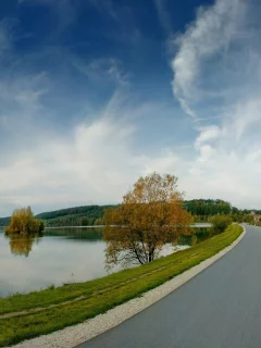 лес, пейзаж, небо, дорога, осень, река, природа, деревья