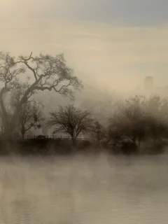пейзаж, небо, trees, sky, озеро, деревья, туман, fog, landscape, nature, lake, природа