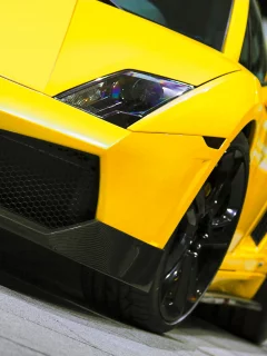 bf, 5, gt600, performance, spyder, gallardo