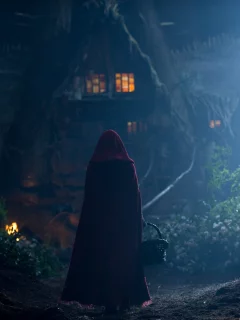 ночь, красная шапочка, red riding hood, аманда сейфрид, домик, лес