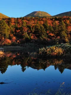 холмы, lake, nature, озеро, вода, природа, water, duck, autumn, landscape, hills, деревья, утка, trees, пейзаж, осень