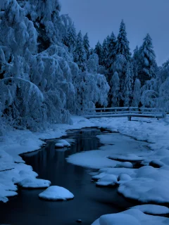 лес, зима, снег