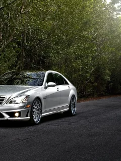 лес, amg, серебристый, дорога, s65, mercedes-benz, тюнинг, мерседес, амг, деревья, tuning