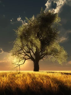 степь, дерево, облака, тени