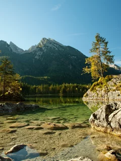 вода, спокойствие, зелень