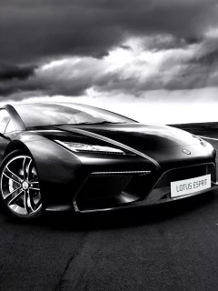 concept, lotus, esprit