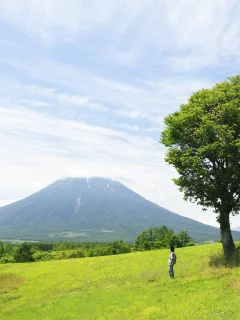 природа, гора, пейзаж, человек, лес, трава, дерево, один, деревья, луг