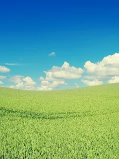 небо, солнце, 2560х1600, поле