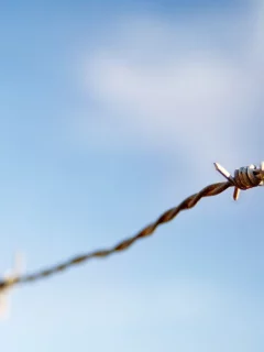 sky, focus, 2560x1600, macro, фокус, небо, колючая проволока, barbed wire, макро