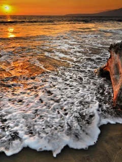 море, песок, бревно, пена, закат