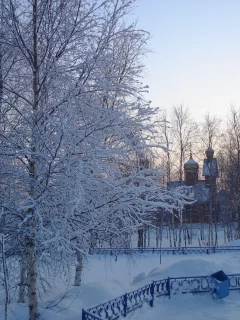 церковь, мусорка, деревья