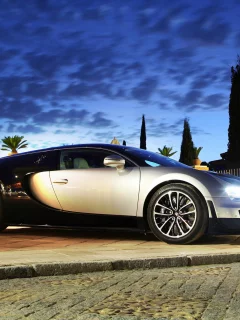 ss, растения, veyron, bugatti, фары, вечер