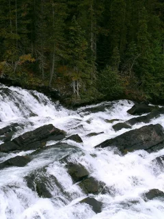 waterfall, природа, вода, водопад, обои, деревья