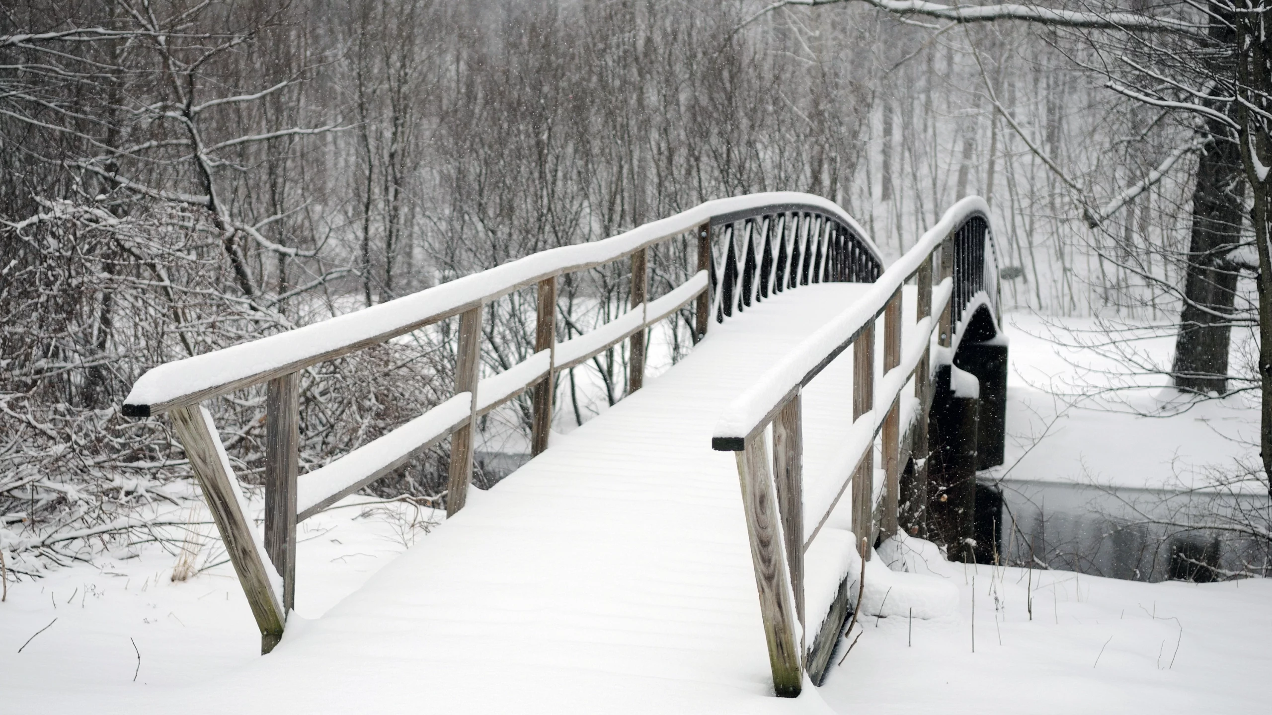 парк, мост, snowbound bridge, деревья, заснеженный, холод, зима